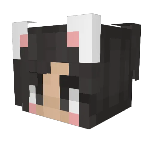 TriciaPearson Minecraft avatar head, 3D render
