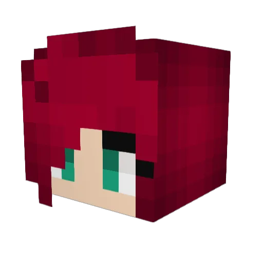 TrickShot1204 Minecraft avatar head, 3D render