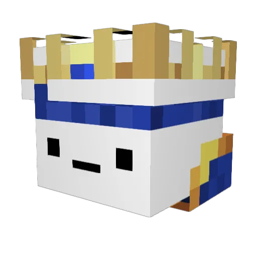 TrickShot141 Minecraft avatar head, 3D render