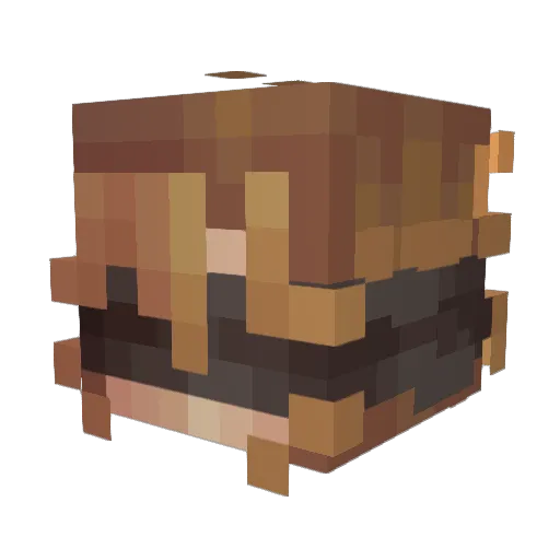 TrickWolf487 Minecraft avatar head, 3D render