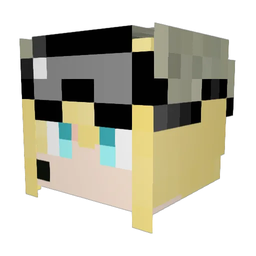Trick_don Minecraft avatar head, 3D render