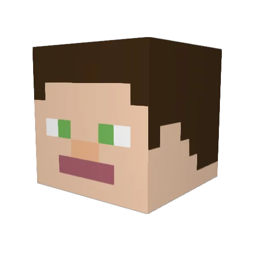 TrickedBoar Minecraft avatar head, 3D render