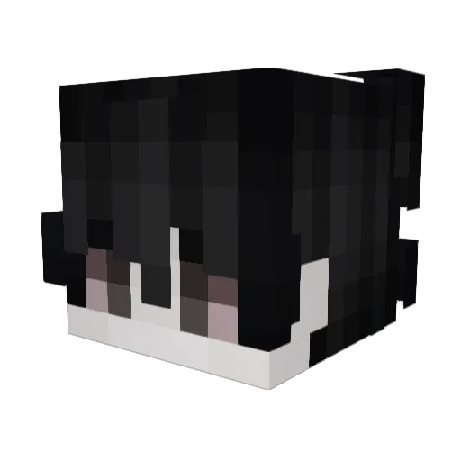 Tricky4493 Minecraft avatar head, 3D render
