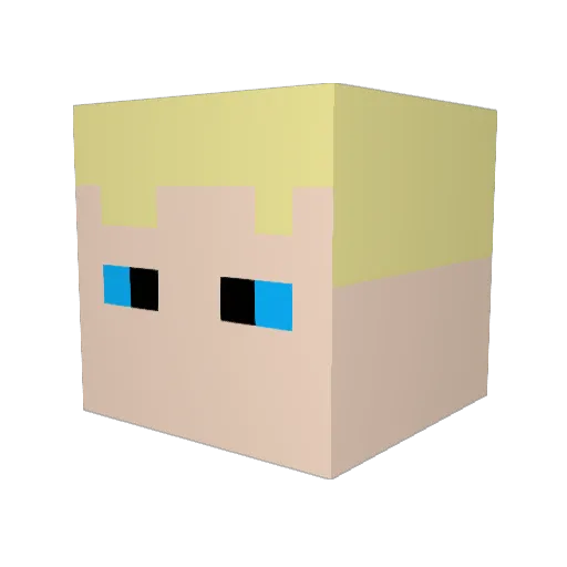 TrickyJohnson Minecraft avatar head, 3D render