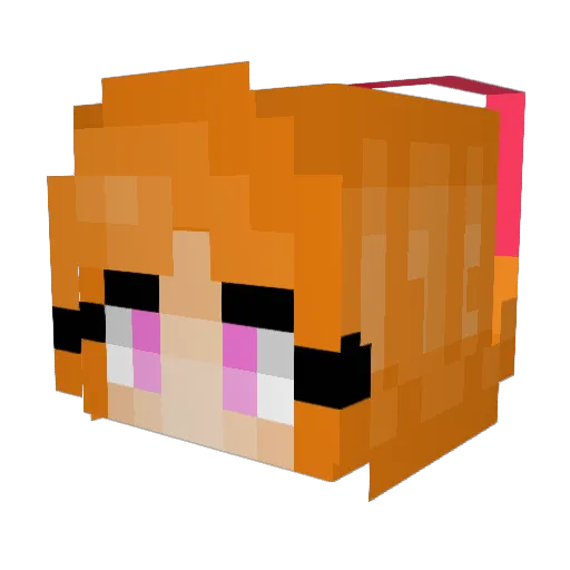 TrickyTortle Minecraft avatar head, 3D render