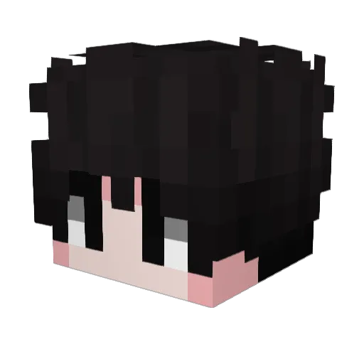 Trideent Minecraft avatar head, 3D render