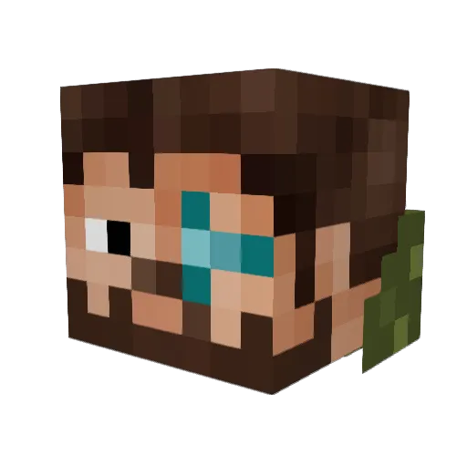 Tridius Minecraft avatar head, 3D render