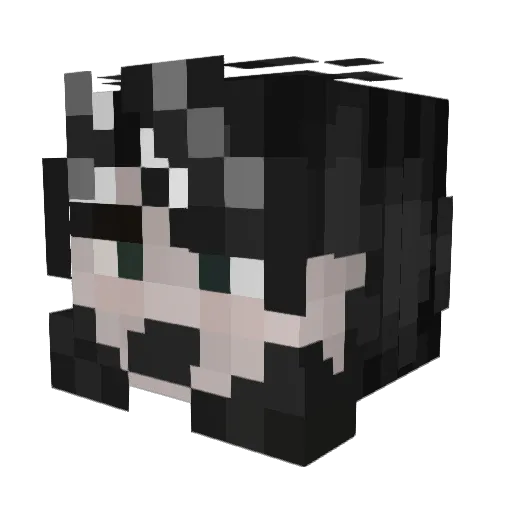 Triea Minecraft avatar head, 3D render