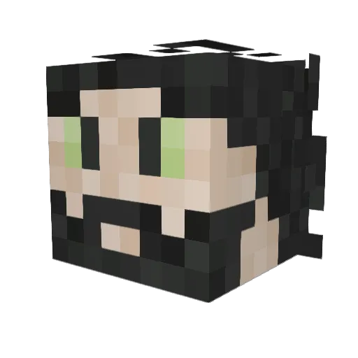 Trifith Minecraft avatar head, 3D render