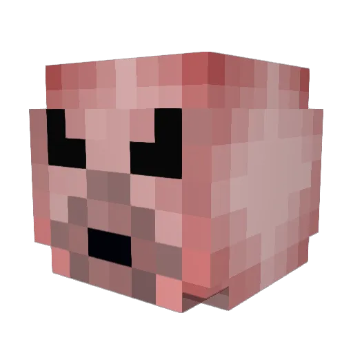 TriforceSoup Minecraft avatar head, 3D render