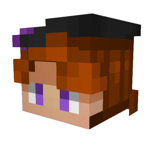 Trikes65 Minecraft avatar head, 3D render