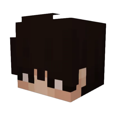 Trikksabc123 Minecraft avatar head, 3D render