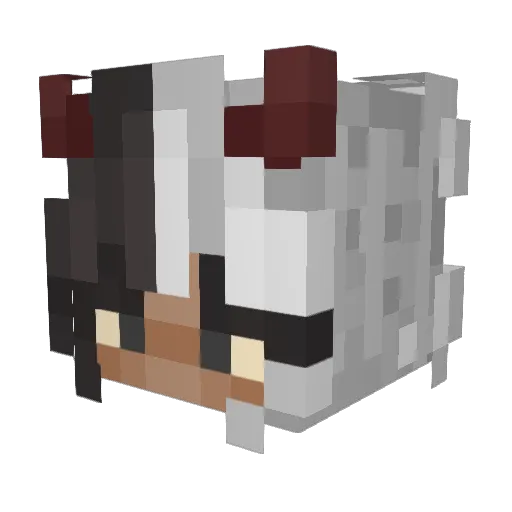 Triks11 Minecraft avatar head, 3D render