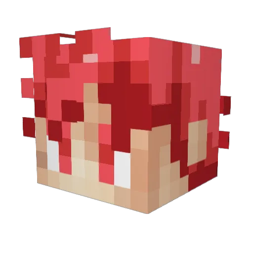TrilDawg Minecraft avatar head, 3D render