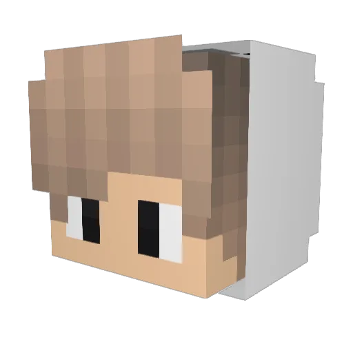 Trilay14 Minecraft avatar head, 3D render