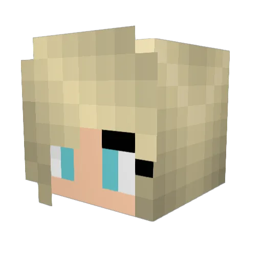 Trillian4 Minecraft avatar head, 3D render