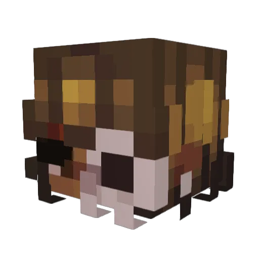 TrimlyGal Minecraft avatar head, 3D render