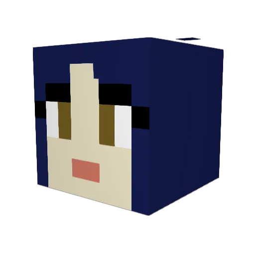 Trin14 Minecraft avatar head, 3D render