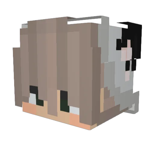 TrinStair Minecraft avatar head, 3D render