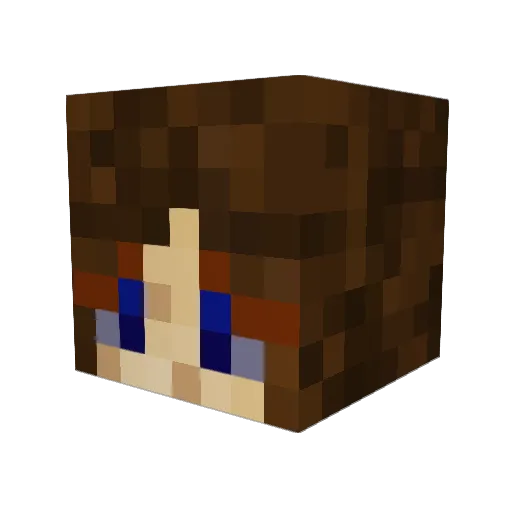 TrinTrain11 Minecraft avatar head, 3D render