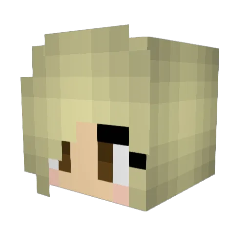 Trinbug90 Minecraft avatar head, 3D render