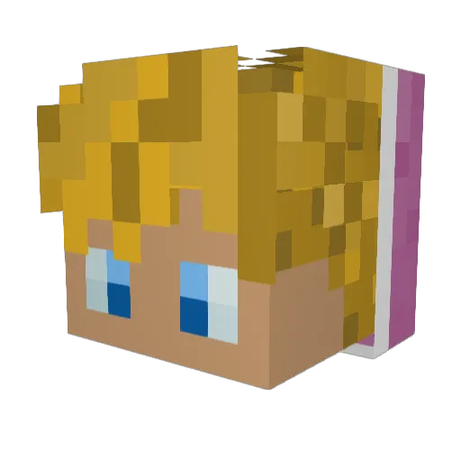 Trincs Minecraft avatar head, 3D render