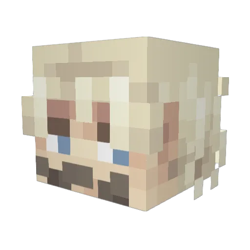Trindz Minecraft avatar head, 3D render