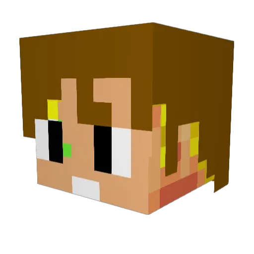 TriniT0 Minecraft avatar head, 3D render