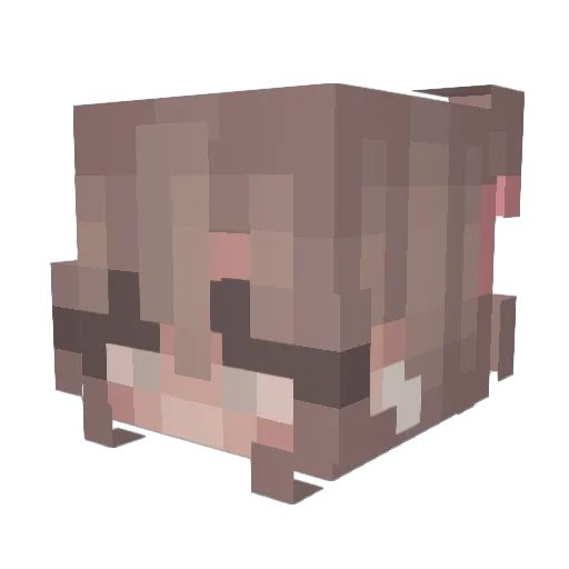 TrinidadGirl Minecraft avatar head, 3D render