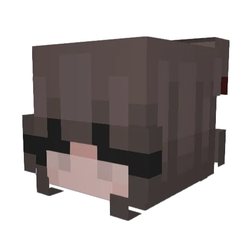 Trinily Minecraft avatar head, 3D render