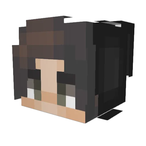 Trinine Minecraft avatar head, 3D render
