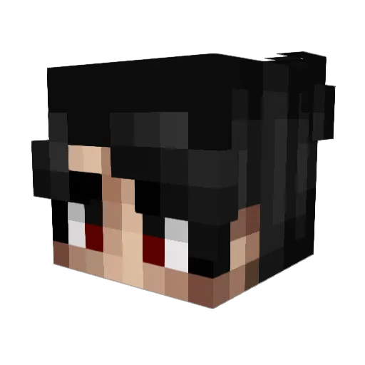 Trinity6762 Minecraft avatar head, 3D render
