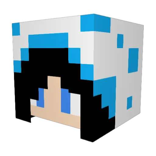 TrinityInfinity1 Minecraft avatar head, 3D render