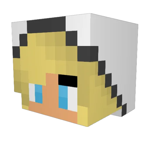 Trinitydede Minecraft avatar head, 3D render