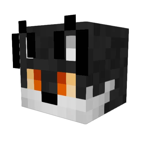 TrinitysMC Minecraft avatar head, 3D render