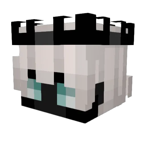 Trinityy__ Minecraft avatar head, 3D render