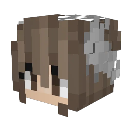 Trip2Wonderland Minecraft avatar head, 3D render