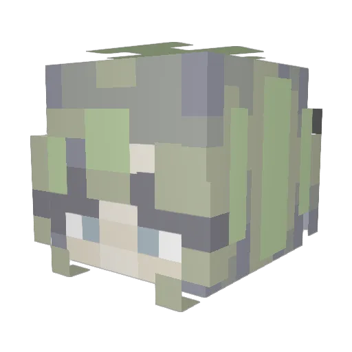 TripWireToby Minecraft avatar head, 3D render