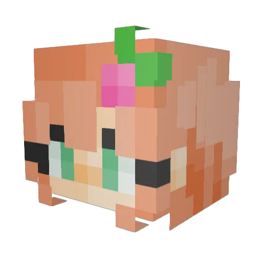 TripandTrink Minecraft avatar head, 3D render