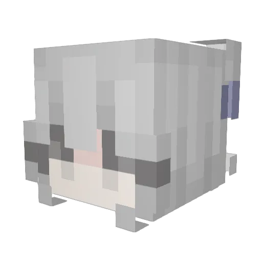 Tripitakayi Minecraft avatar head, 3D render
