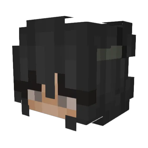 TripleGalx5 Minecraft avatar head, 3D render