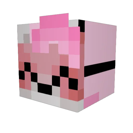 TriplePanic3 Minecraft avatar head, 3D render