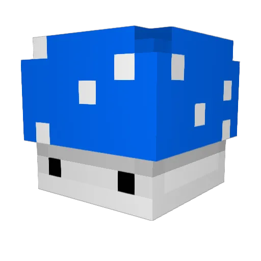 Triple_Skate Minecraft avatar head, 3D render