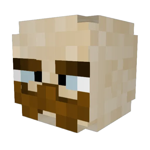 Triplebackfrip Minecraft avatar head, 3D render