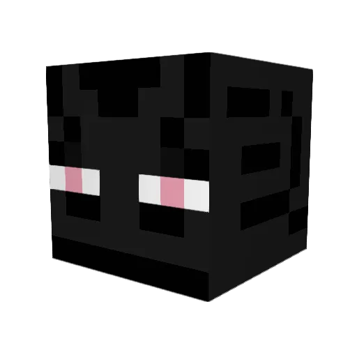 Tripleduece Minecraft avatar head, 3D render