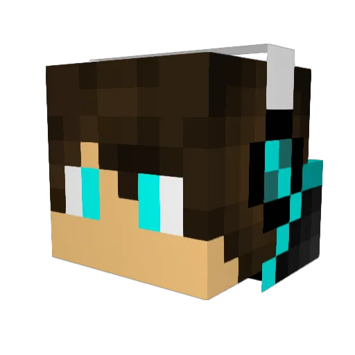 Tripod_Ty Minecraft avatar head, 3D render