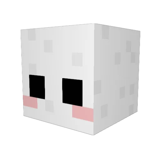 TrippieSushi Minecraft avatar head, 3D render