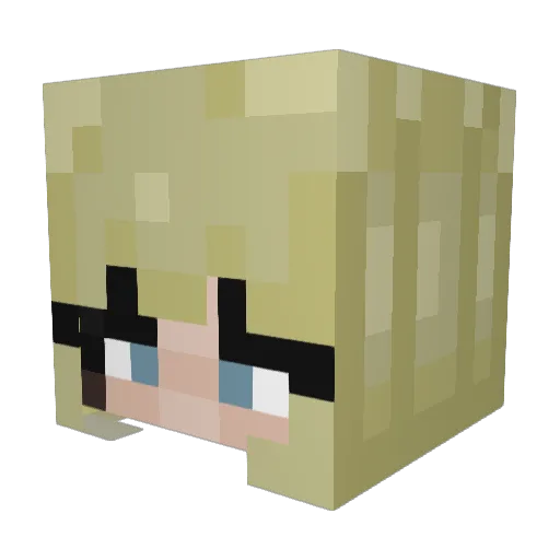 Trippy4 Minecraft avatar head, 3D render