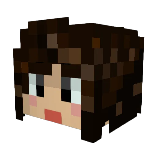 Trippy95 Minecraft avatar head, 3D render
