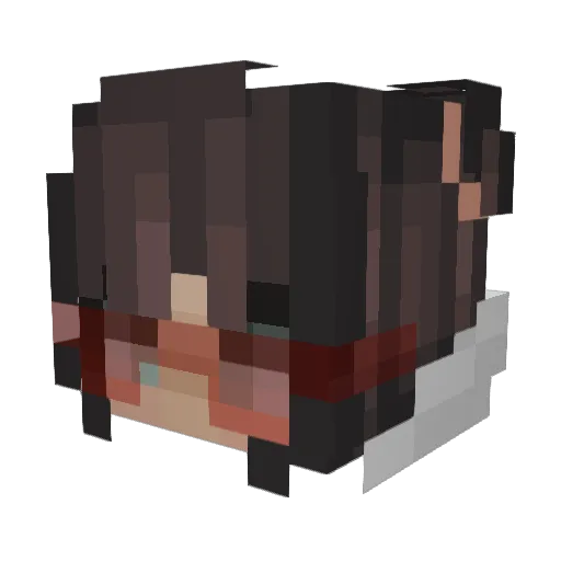 TrippyBish Minecraft avatar head, 3D render